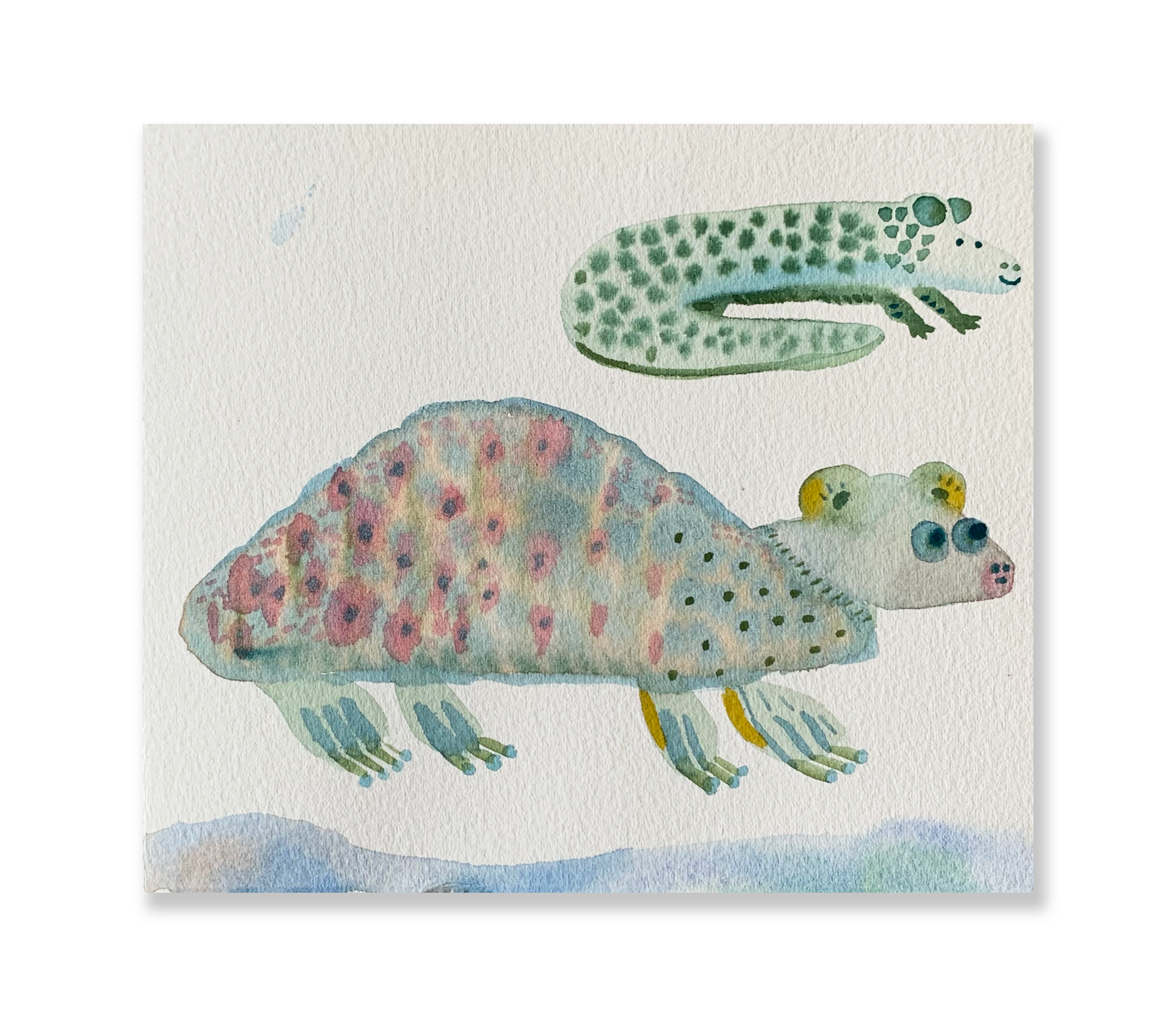 Jacatu // Sandra Jávera