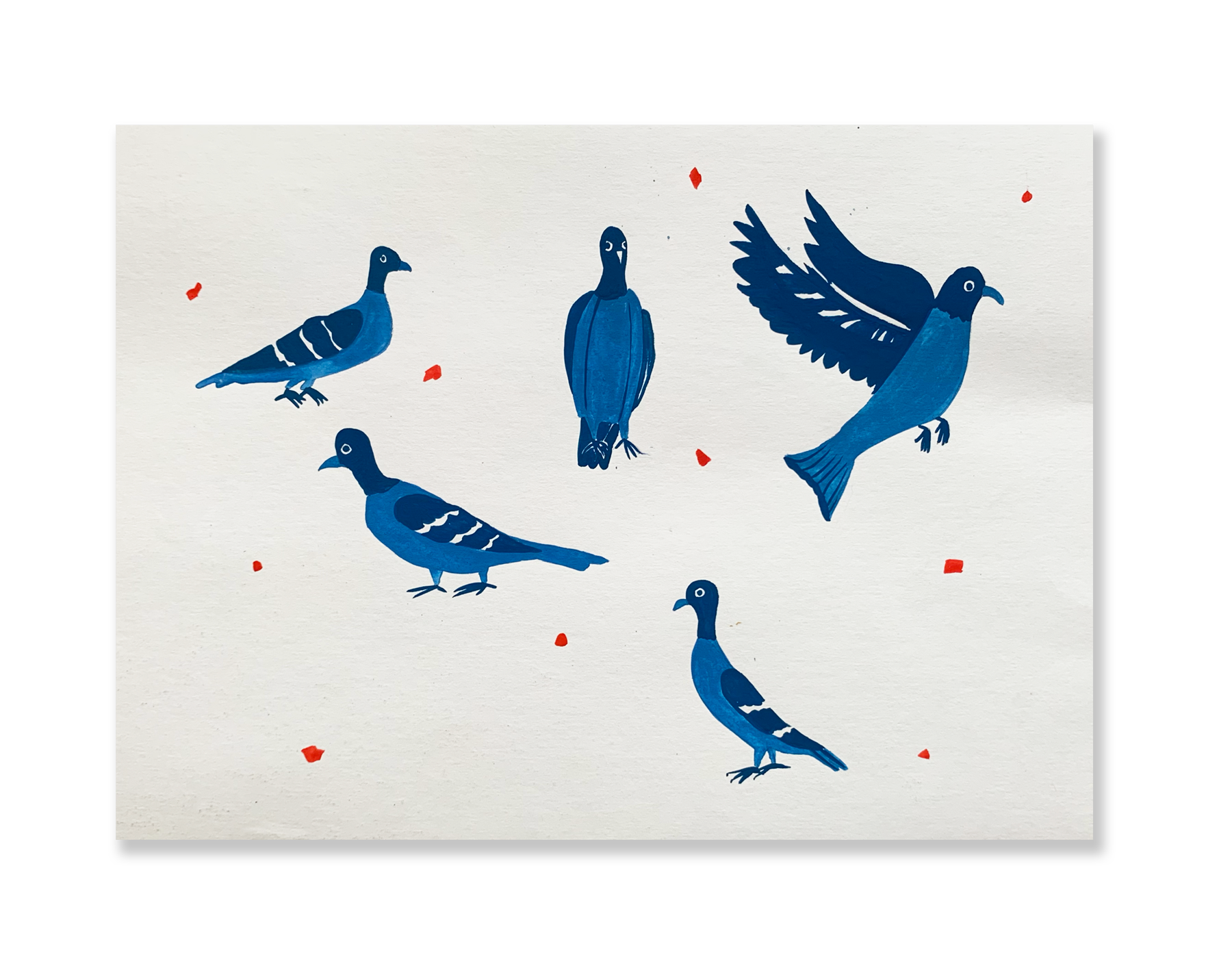 Pombinhas ao sol // Sandra Jávera