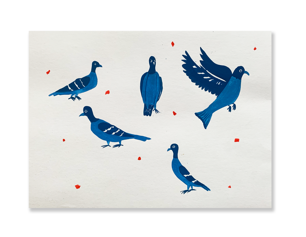 Pombinhas ao sol // Sandra Jávera