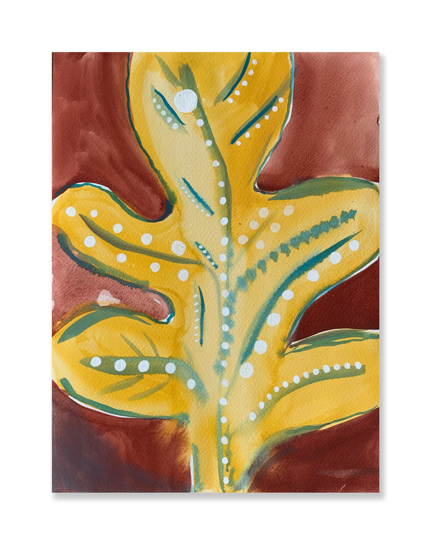 Folha // Sandra Jávera