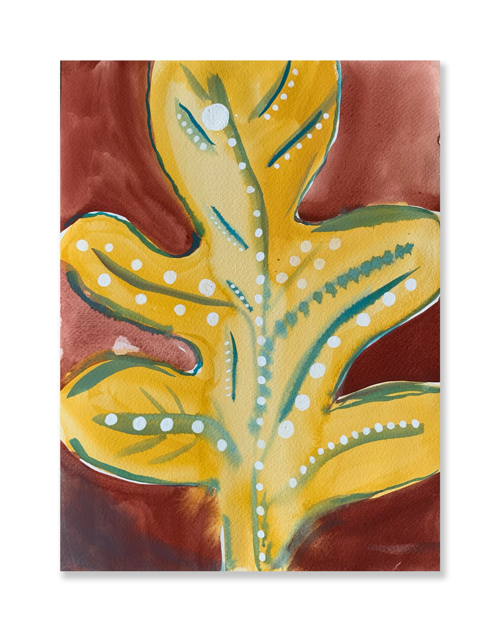 Folha // Sandra Jávera