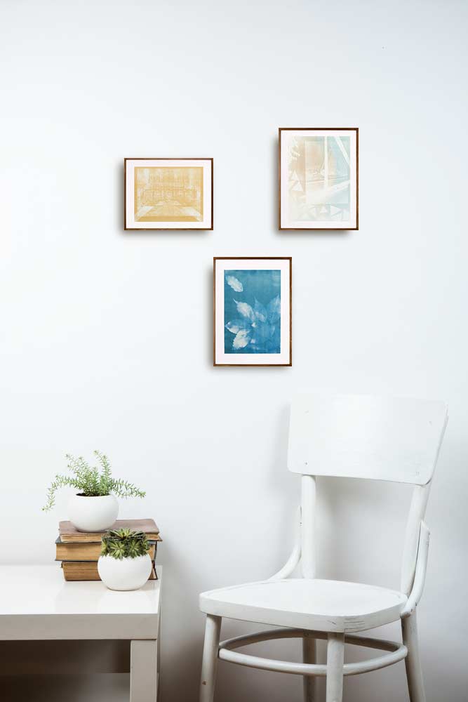 Jardim Botânico de Curitiba – PR/Brasil // Silvia Ruiz