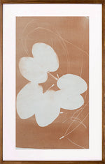 Série 'Folhas' // Silvia Ruiz