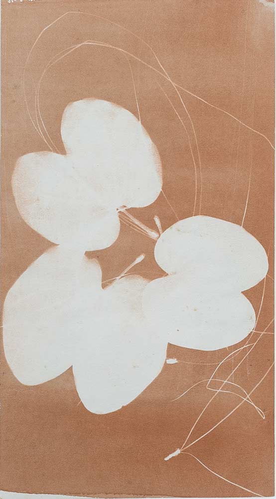 Série 'Folhas' // Silvia Ruiz