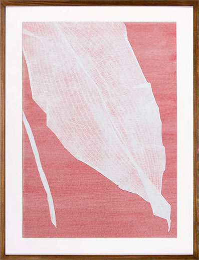 Série 'Folhas' // Silvia Ruiz