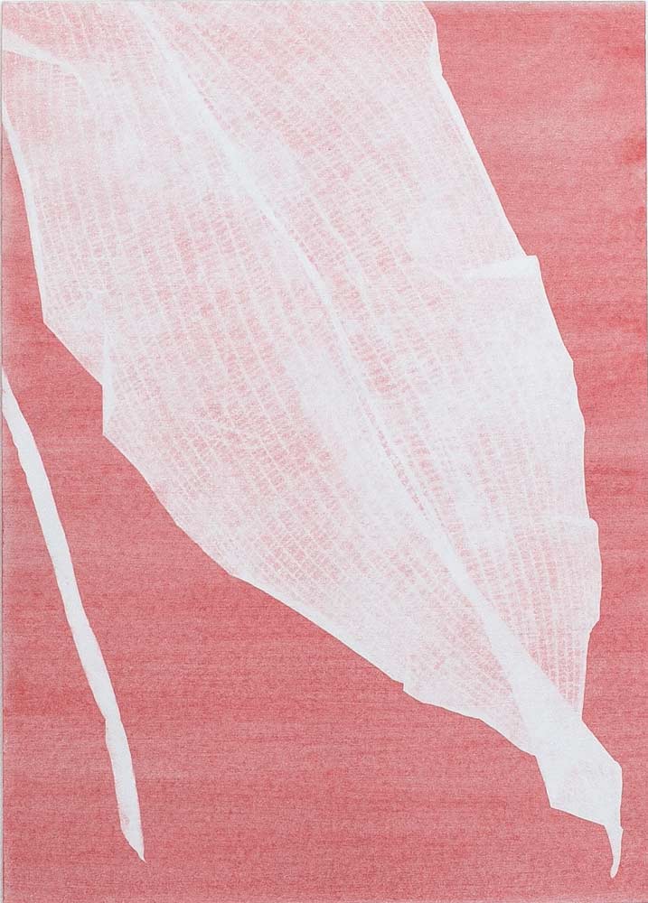 Série 'Folhas' // Silvia Ruiz